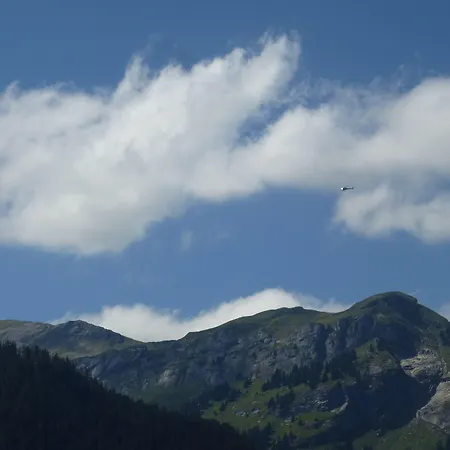 Alpenkraeuter Baeren 3*